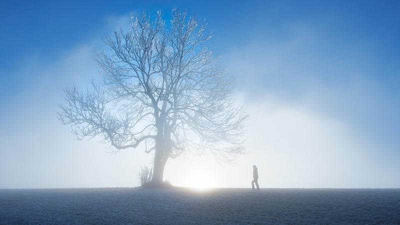 Meteoroloji'den 23 şehrimiz için sis ve pus uyarısı!