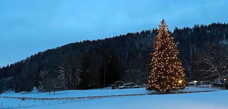 Deutschlands vielleicht berühmtester Weihnachtsbaum leuchtet wieder