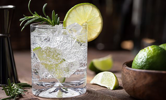 Make mine a double! The science behind why a gin and tonic is one of the healthiest alcoholic drinks