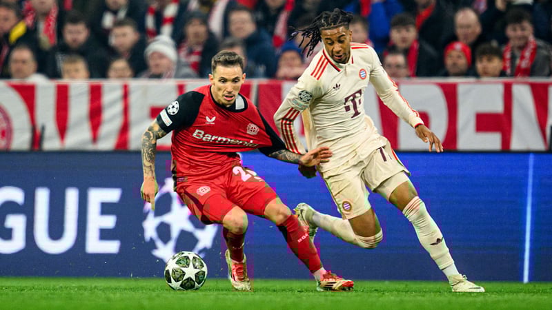 BILD kennt Details aus Leverkusen - Bayern denkt über Grimaldo nach