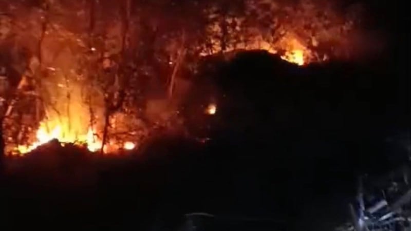 Hatay’da yıldırım nedeniyle yangın çıktı: Alevler kontrol altına alınmaya çalışılıyor