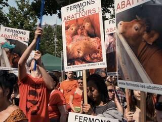 « La grande histoire des végétariens » sur Arte, le récit réussi d’une philosophie de vie à part entière