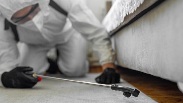 Zehirlenme faciasıyla gündeme geldi! 'Alüminyum fosfit' uyarısı: Bakkalda bile satılıyor, duvardan bile sızabiliyor