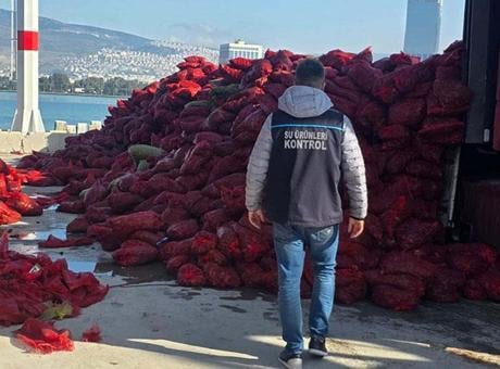 Yer: İzmir! Kaçak avlanan 27 ton kara midye ele geçirildi