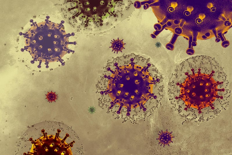 Virus : deux cas de coronavirus MERS-CoV identifiés en France
