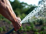 People with large gardens 'should be paying through the nose' to water them, climate change advisor says