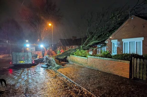 Storm Claudia horror as tree collapses and smashes onto bungalow below
