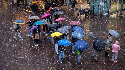Neige en plaine, gelées fréquentes... Une masse d'air polaire entraîne des températures hivernales en France, le pic de froid attendu samedi