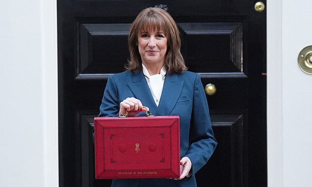 Budget fails to mend our 'broken' tax system, says top economist