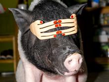 Allerletzte Chance Kunst!: Diese sieben Ausstellungen enden jetzt im November