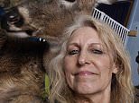 Grandma mauled to death by deer she rescued and tried to domesticate