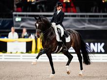 Reitturnier: Schweizer Sieg bei letzter Dressurprüfung in Stuttgart