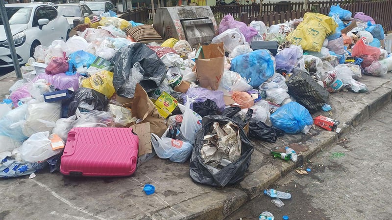 İzmir'i karasinekler bastı! Tabip Odası Başkanı Uzm. Dr. Yüce Ayhan'dan uyarı