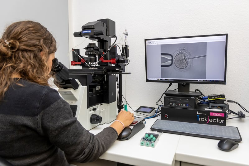 Dons de gamètes : un cas danois pose la question du risque de transmission de maladies génétiques