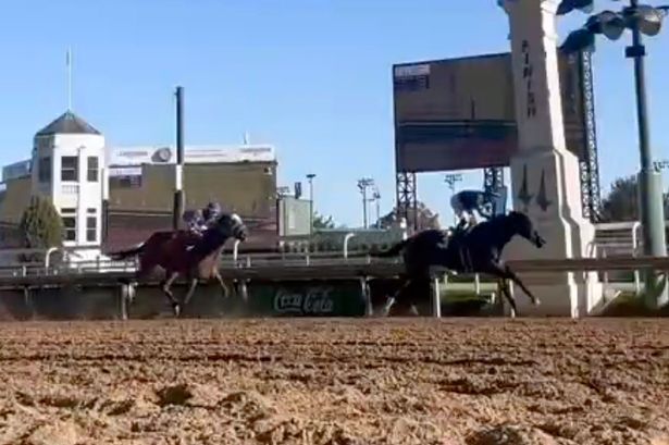 Racehorse ‘on verge of being dog food’ wins race after rescue from slaughter