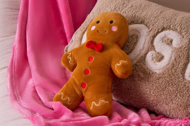 'Really cute' 15p-a-week gadget is helping people stay warm in -12C cold weather