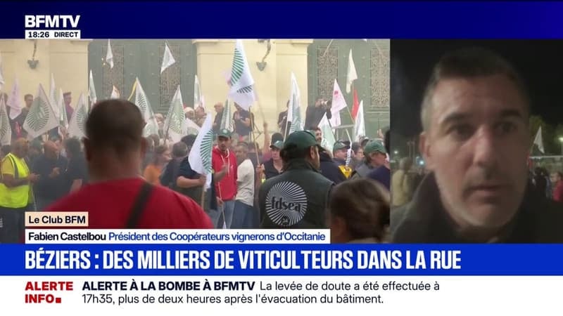 Crise viticole: "On a le droit de vivre de notre métier", déclare Fabien Castelbou, président des Coopérateurs vignerons d'Occitanie
