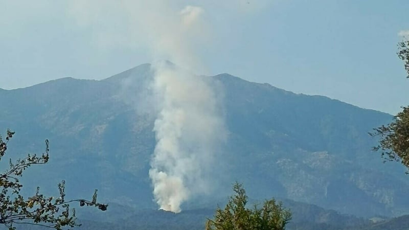 Muğla'da orman yangını