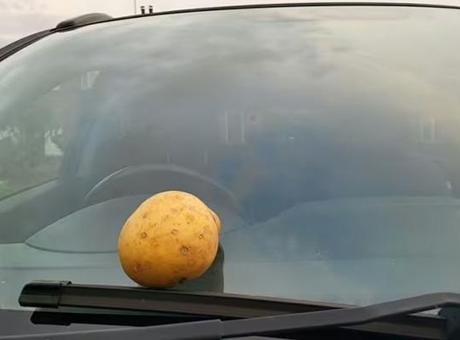 İngiliz YouTuber Smart Fox vatandaşları uyardı! 'Arabanızın camına patates sürün'