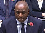 David Lammy under new pressure after prisoner wrongly freed from jail commits NEW crime, as Tories warn 'public are being put at risk'