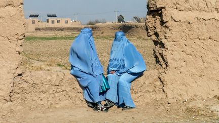 "Ils ont interdit l'entrée de l'hôpital à toutes les femmes ne portant pas la burqa" : à Hérat, en Afghanistan, l'inquiétude de Médecins sans frontières