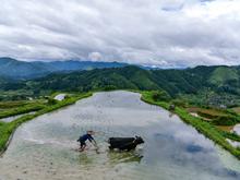 UN-Bericht zeigt Einsparpotenziale auf: Weltweiter Methan-Ausstoß sinkt – aber langsamer als nötig