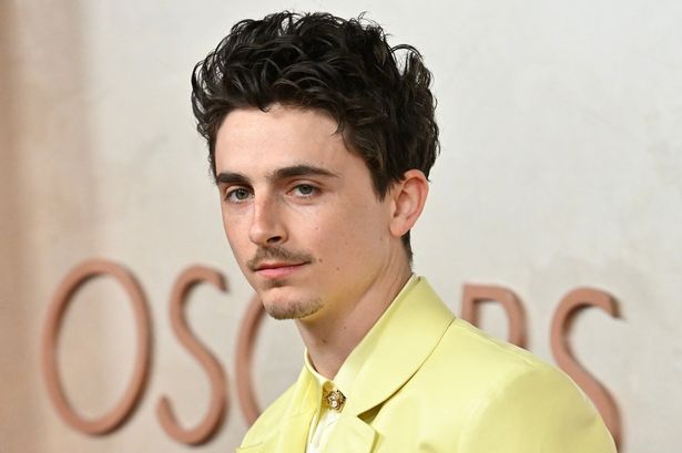 Wild fan theories claim Timothée Chalamet is mysterious masked UK rapper