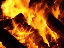 „Holzhackschnitzelkessel“ für Friedrichshain: Berliner Grünflächenamt wird auf erneuerbare Energien umgerüstet