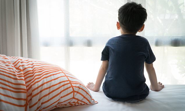 The link between the gut microbiome and autism not backed by science, experts say
