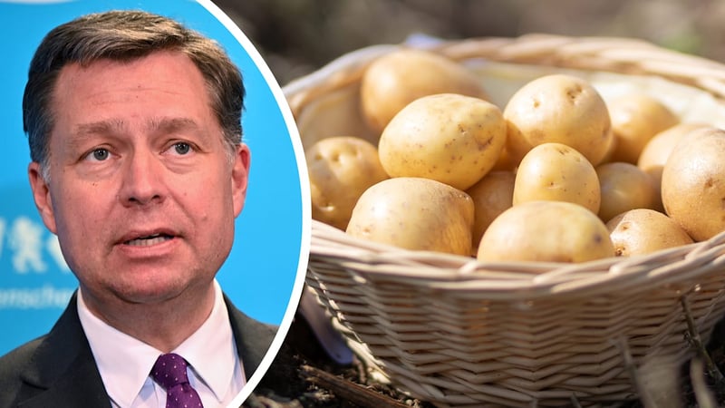 Statt Ernte zu verfeuern - CSU-Politiker will „nationale Kartoffel-Reserve“