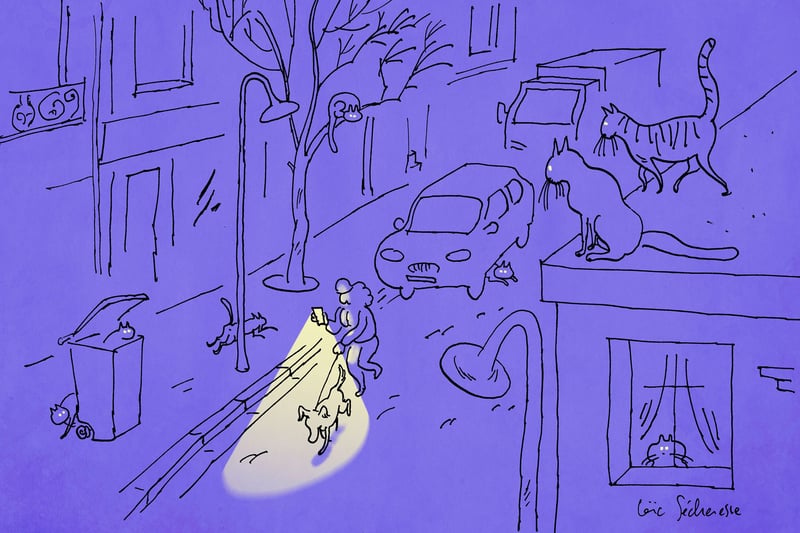 Éclairage public : faut-il rallumer les lumières ?