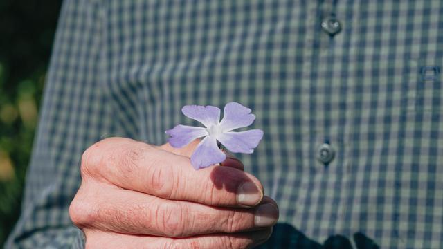 Rentenreform: Dieser Kompromiss ist eine Chance