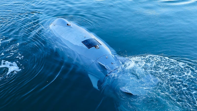 Ostsee-Drohne made in Germany - Grauer Hightech-Hai jagt Russen-Spione