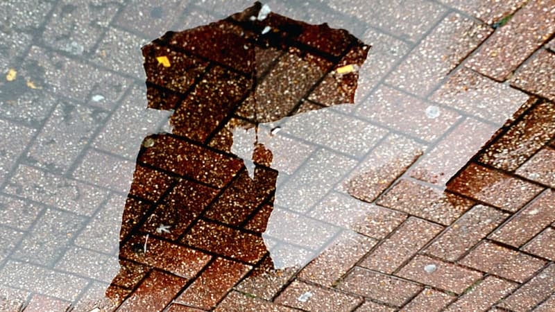 Pluie-inondation: quatre départements placés en vigilance orange ce dimanche