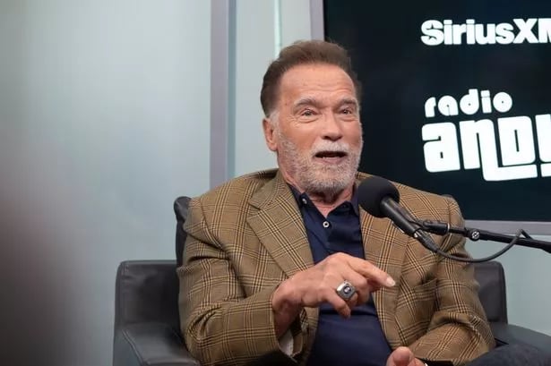 Austrian home village of Arnold Schwarzenegger begs star to save Christmas market