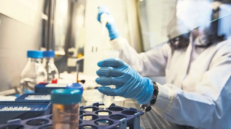 Almanya’da poliovirüs paniği