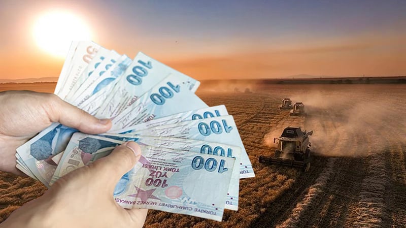 Tarım sektörüne can suyu olacak: Dev destek bugün hesaplarda
