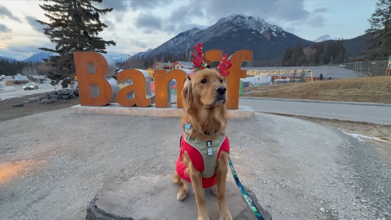 Iconic Banff sign has a new home after concerns raised about pedestrian safety