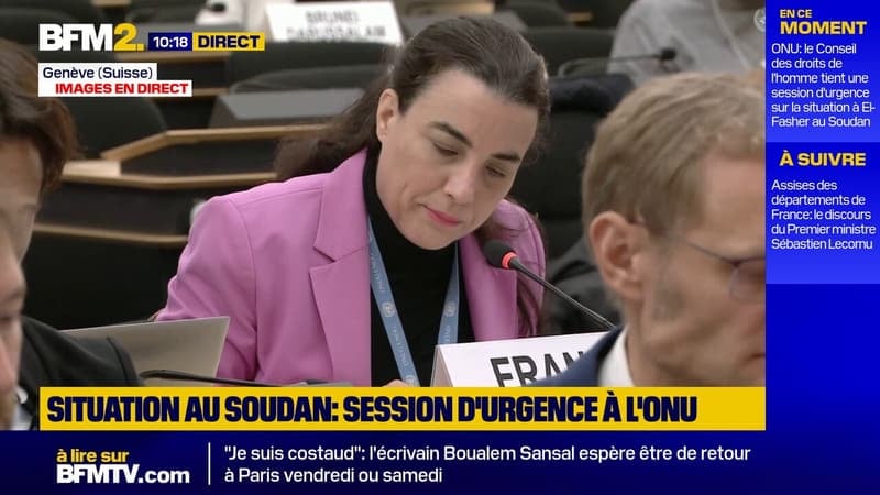 "Pire crise humanitaire au monde": la France "condamne fermement les atrocités commises" au Soudan