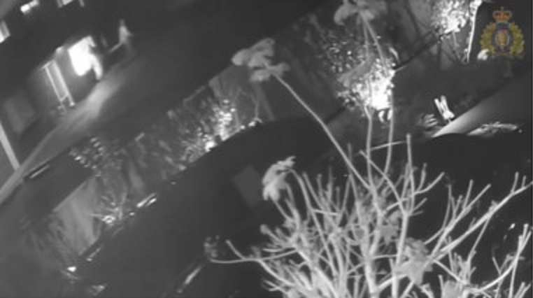 North Vancouver RCMP release video of Halloween night arson on Dollar Road