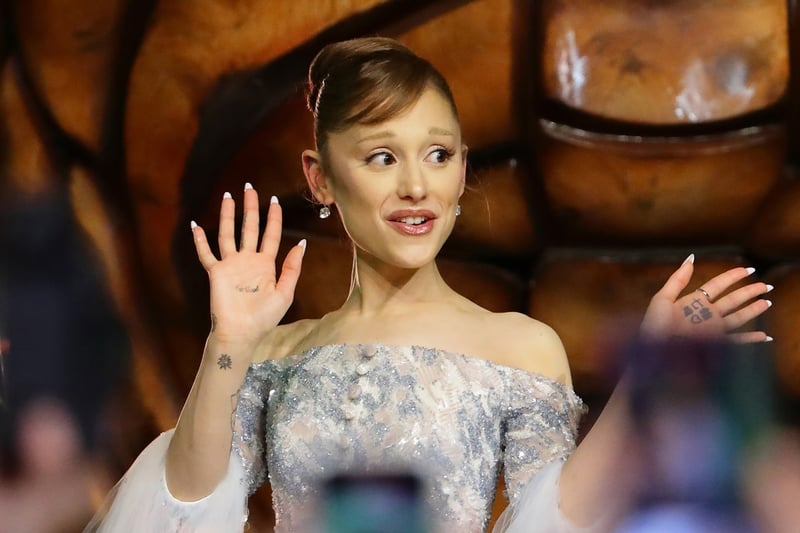 Wicked 2 premiere attendee who lunged at Ariana Grande charged in court