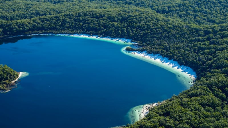 Tödliche Idylle - Warum K‘gari als giftigste Insel der Welt gilt