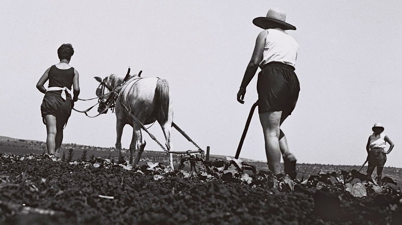 Israel | Thriller „Adama“ von Lavie Tidhar: Es war einmal ein linkes Projekt