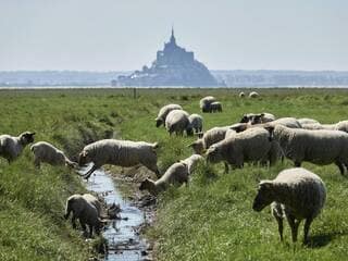 « La vidéo la plus probablement générée par IA que j’ai vue » : un vidéaste américain ne croit pas au Mont Saint-Michel