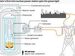 Britain's first mini nuclear power station gets the green light: 'Small modular reactors' will be built by Rolls-Royce in north Wales - and will provide enough power for 3 MILLION homes