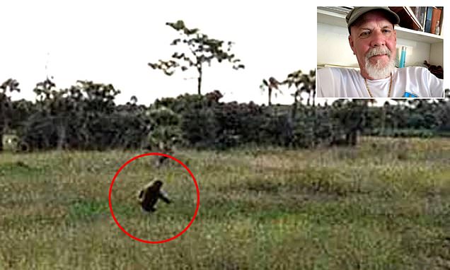 I've spent my life hunting a real-life monster in the Everglades... here's the truth about the Florida Bigfoot