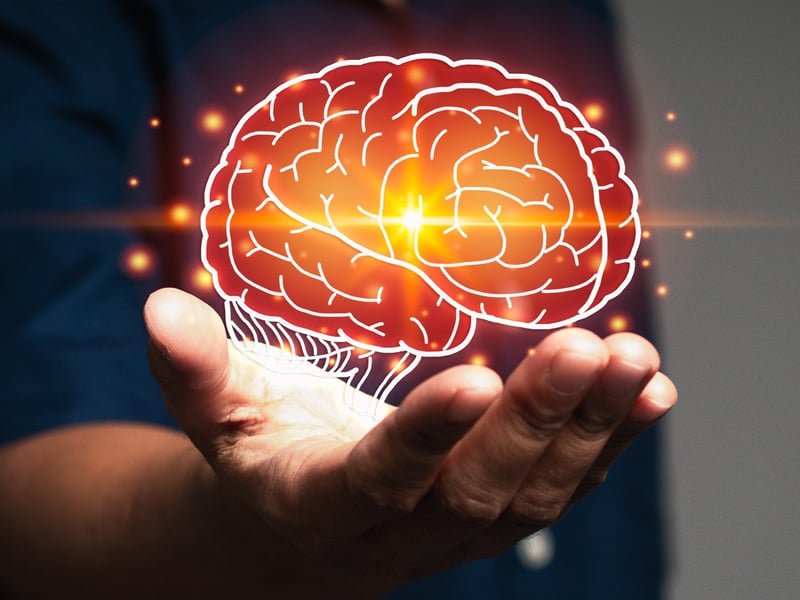 Five newly discovered life stages of your brain include a prolonged adolescence from age 9 to 32