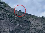 Wingsuit jumper miraculously survives smashing against the rocks when parachute deploys and he descends safely while unconscious