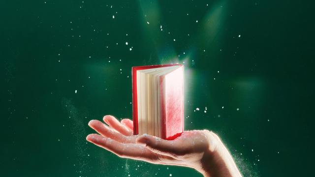 Buchempfehlungen zu Weihnachten: Welche Bücher wir zum Fest empfehlen