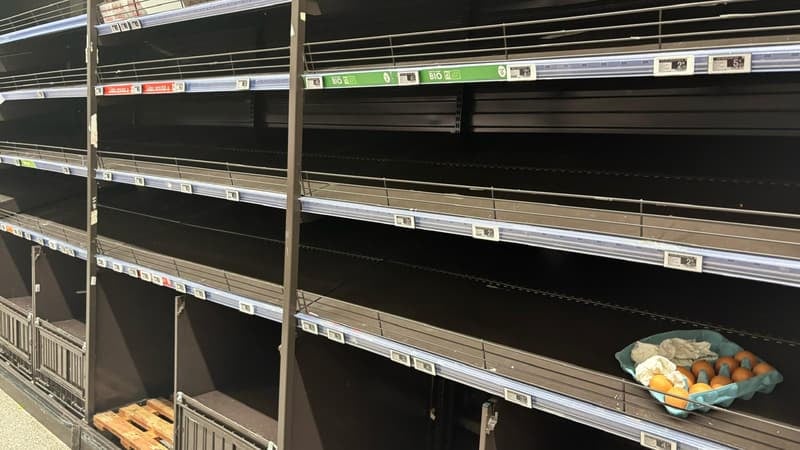 Le prix des œufs va-t-il augmenter face à la pénurie en rayons?